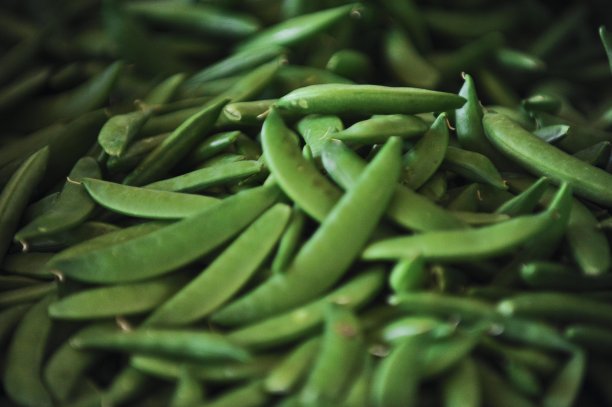 (2008年)图片下载