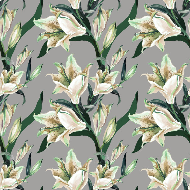 水彩白色百合灰色无缝图案。图片下载