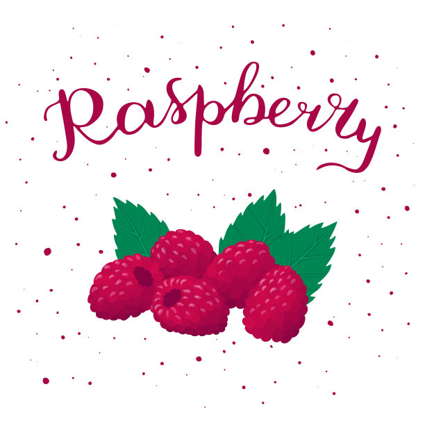 带叶子的覆盆子，上面写着“覆盆子”图片下载