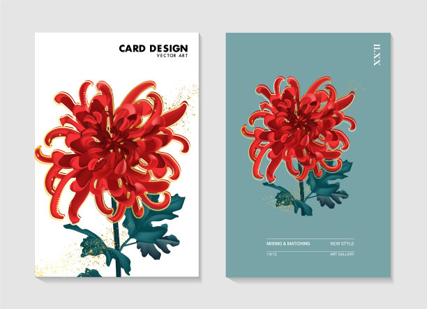 菊花宏观野生园林花卉花卉图片下载