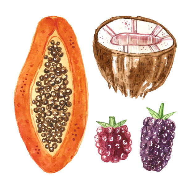 热带水果剪贴艺术，设置。木瓜，椰子，黑莓，覆盆子。水彩插图。生的、新鲜的、健康的食物。素食,素食者。夏天。设计元素孤立在白色背景上。图片下载