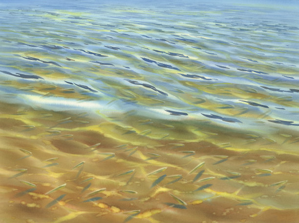 阳光明媚的水与透明的波浪水彩背景图片下载