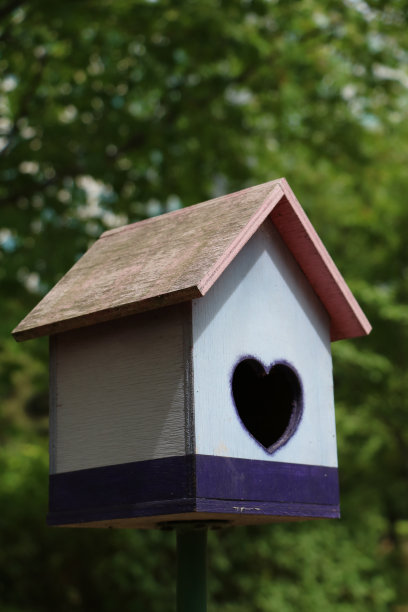 在鸟屋里图片下载