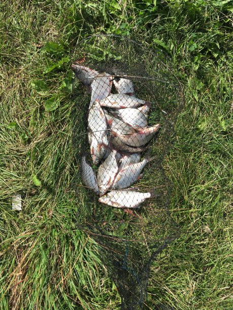 渔业和育种者图片下载