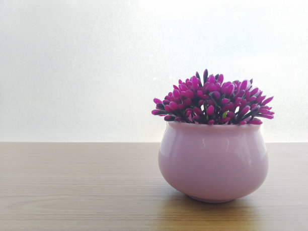 紫色的花图片下载