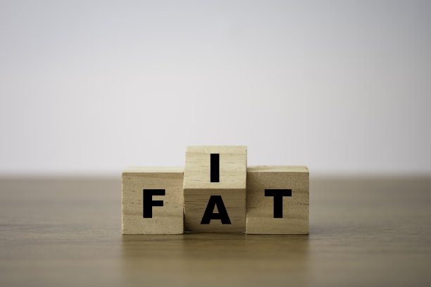 适合和肥胖的措辞打印屏幕上的木方块。饮食和健康状况良好。图片下载