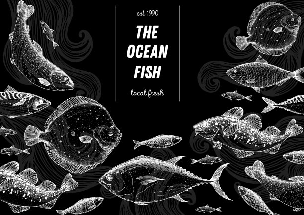 鱼的素描收藏。手绘矢量插图。海鲜框架矢量插图。食物菜单插图。手绘金枪鱼，鲑鱼，比目鱼，鳕鱼，鲱鱼。雕刻风格。图片下载