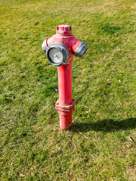 足球场附近的红色消防栓。图片下载