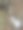 自然界中大型动物的骨头。图片下载