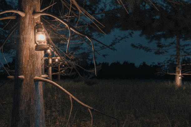 三维渲染的特写拍摄的森林在晚上悬挂点亮的风暴灯笼图片下载