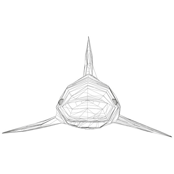 线框低聚蓝鲨。3 d。前视图。矢量图图片下载