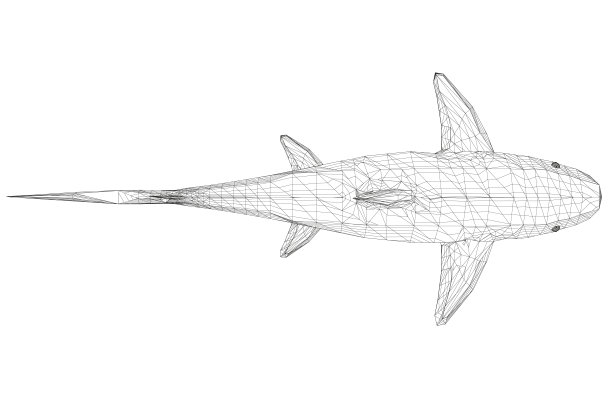 线框低聚蓝鲨。3 d。从以上观点。矢量图图片下载