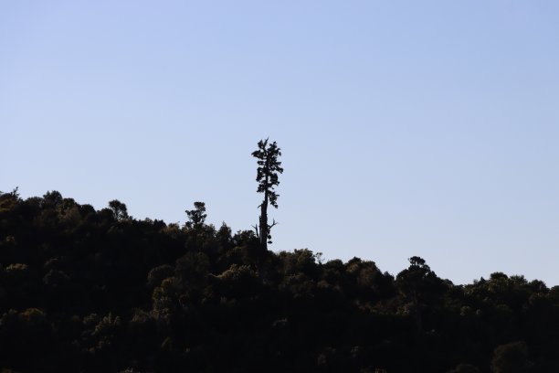 遥远的距离图片下载