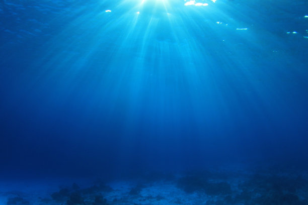 水下的背景照片图片下载