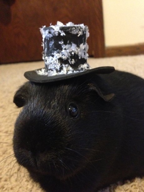 几内亚最高图片下载