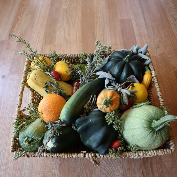 西葫芦混合泳。图片下载