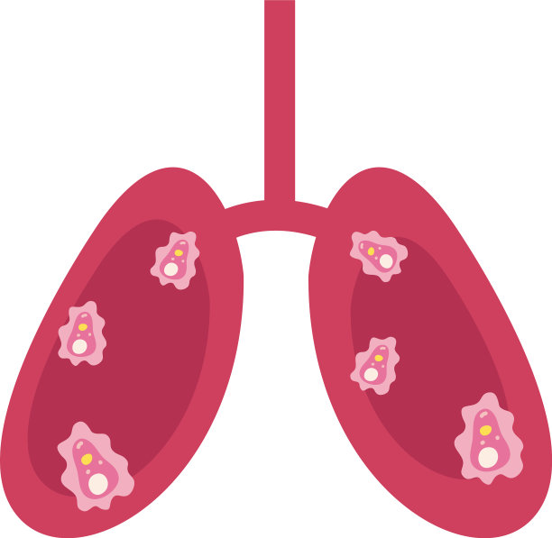 肺部与covid - 19病毒图标扁平化风格图片下载