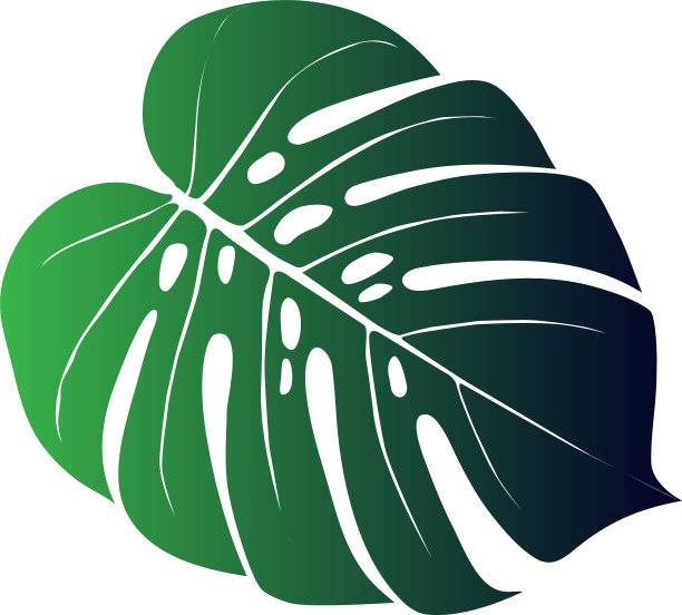 来自热带森林的一种植物图片下载