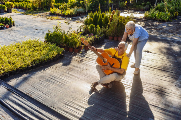 高级一些滑板图片下载