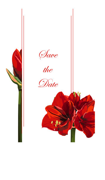 植物婚礼请帖模板设计图片下载