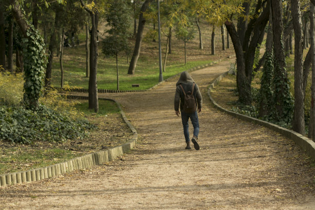 在公园里散步图片下载