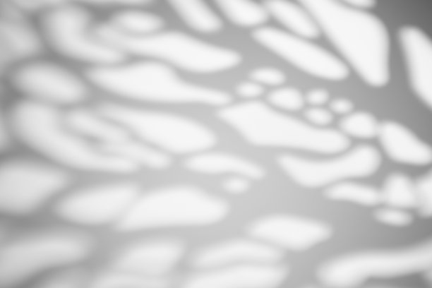 在阳光明媚的天气里，白色的墙上挂着树叶的影子。阴影叠加效果的照片。图片下载