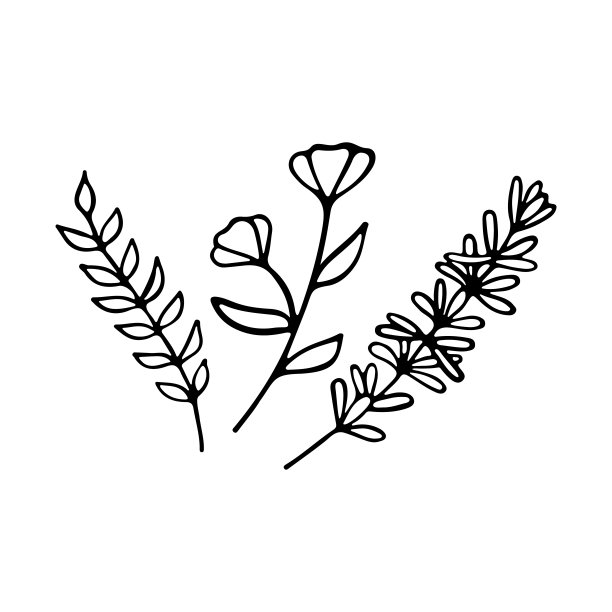 素描的野花。花的涂鸦设计。植物的元素。乡村装饰植物。图片下载