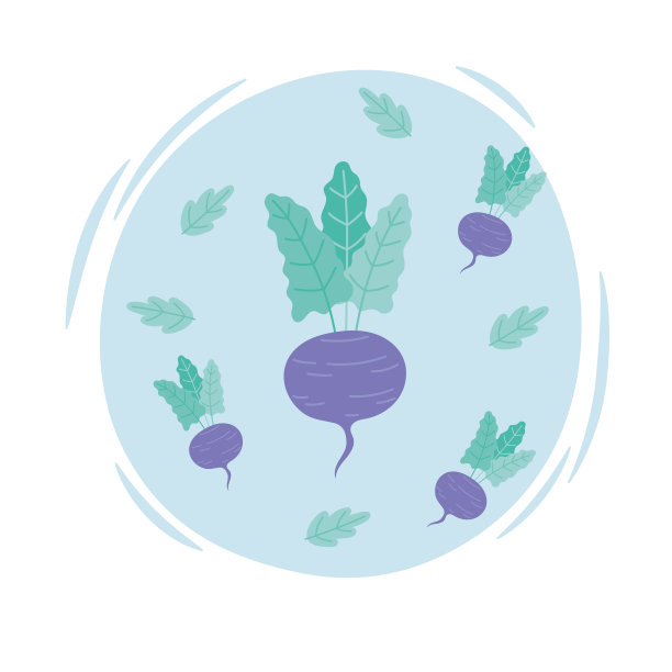 甜菜蔬菜收获有机健康天然叶片设计图片下载