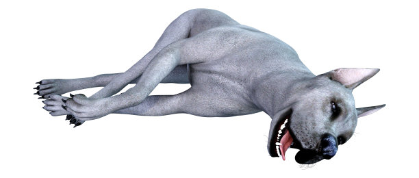 3D插图蓝色大丹狗在白色图片下载