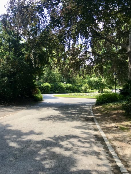 在一个阳光明媚的春天午后，在欧洲维尔茨堡的一个公园的人行道上轻松漫步:风景优美的树木创造了一个宁静的户外环境图片下载