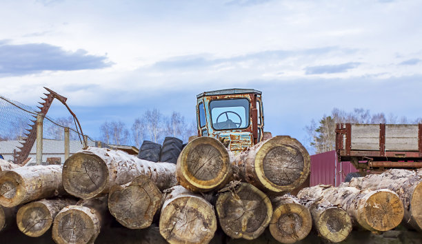 制备木材。图片下载
