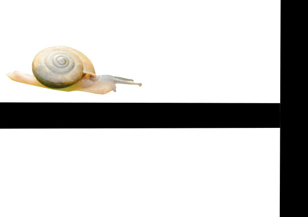 蜗牛慢慢地在黑线上爬行到终点图片下载