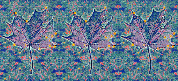 艺术图案的秋天枫叶与花的背景图片下载