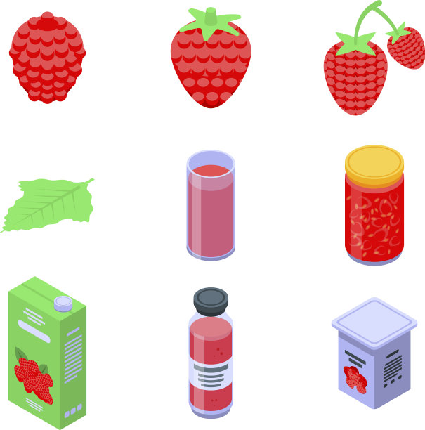 树莓图标设置等距风格图片下载