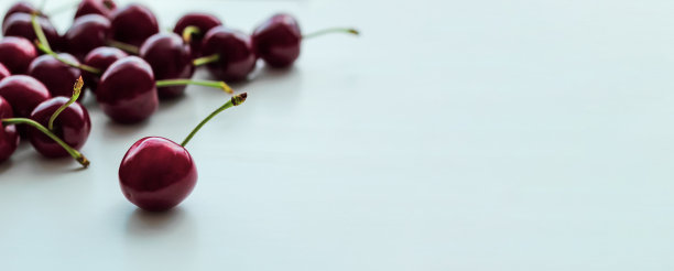 白色背景上有成熟樱桃的横幅图片下载