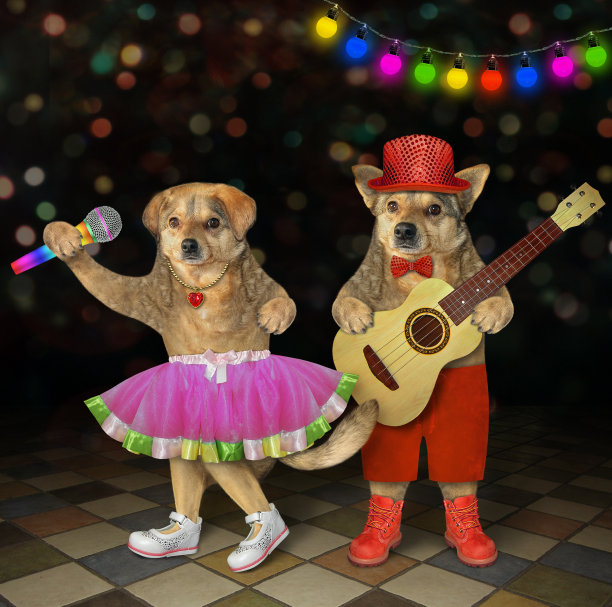 两只狗在夜总会唱歌图片下载