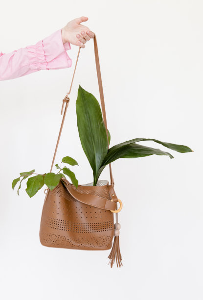 女人的手握时尚设计师包装饰鲜花花束时尚的广告创意在白色的背景图片下载