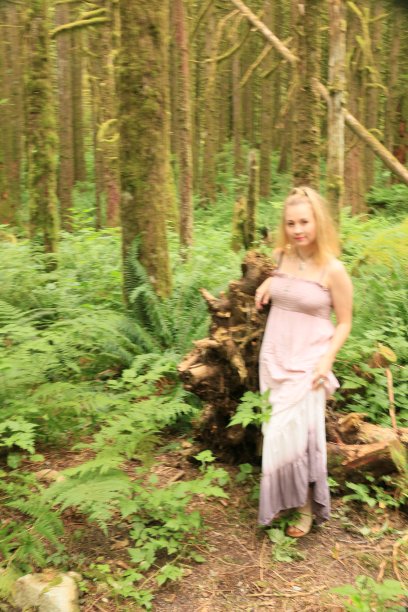 森林之美图片下载