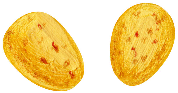 丙烯酸发现蛋图片下载