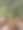 阳台上的桌子上放着各种各样的花和风玫瑰图片下载
