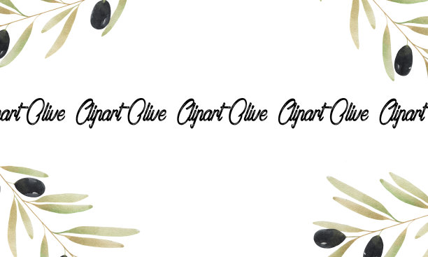用橄榄枝的水彩剪贴画。框架和橄榄。用于印刷，服装，明信片，剪贴簿，装饰，菜单，包装，婚礼。图片下载