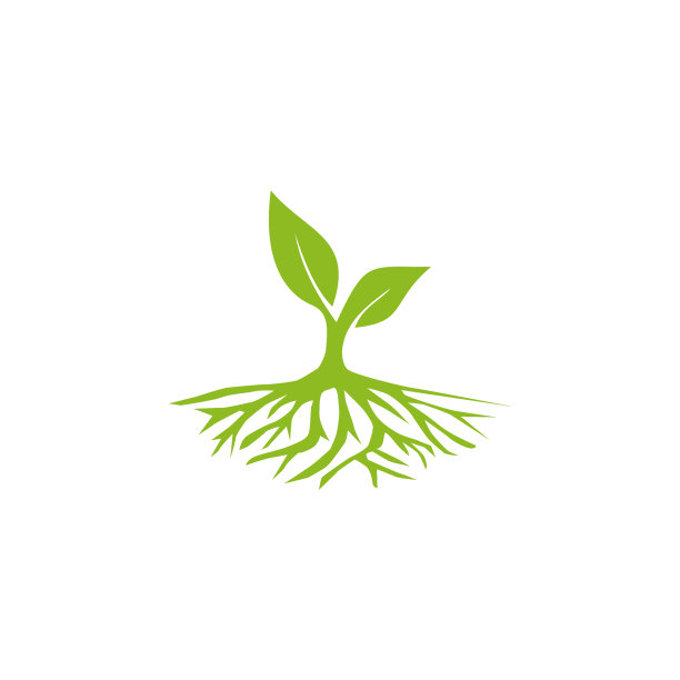 树标志设计的灵感模板图片下载