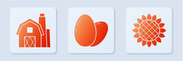 集鸡蛋鸡舍概念与向日葵农场图片下载