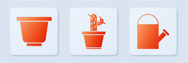 将仙人掌和多汁植物放在花盆和花盆中图片下载