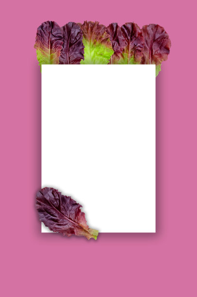 创意的栗色生菜叶与一张便条卡。图片下载