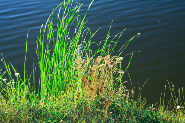 夏天高原上的一条美丽的河流。湖在一个生态干净的公园保护区，在山的背景。春天的美景。设计素材照片图片下载