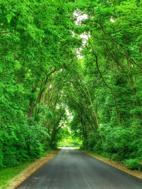 路不走了图片下载