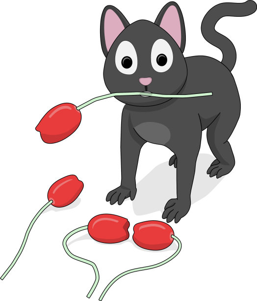 长着郁金香的灰猫图片下载