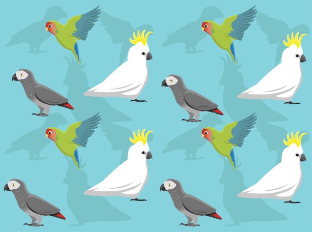鹦鹉各种Lovebird凤头鹦鹉灰色矢量无缝背景壁纸01图片下载