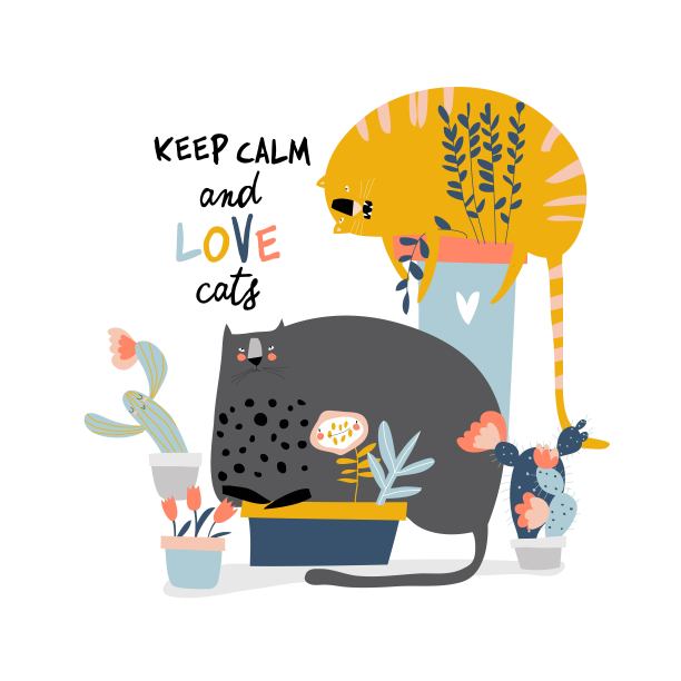 可爱有趣的猫坐在花盆上的白色背景图片下载